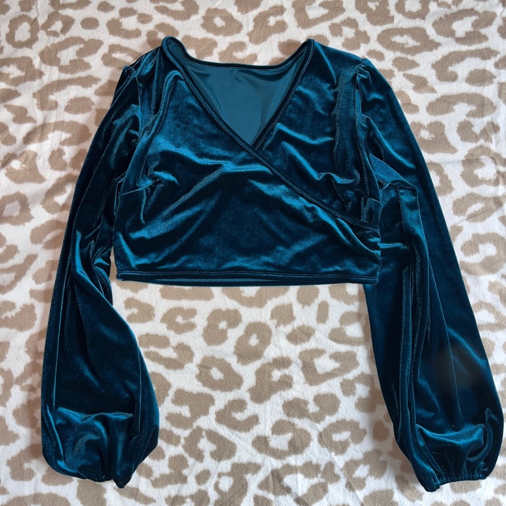 Cider cropped velvet long sleeve